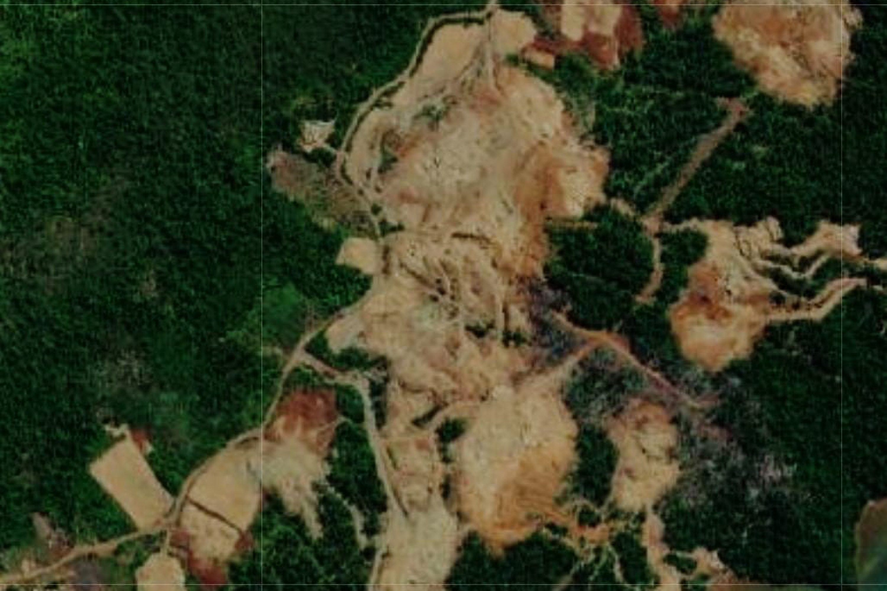 PT KNN Diduga Terobos HPT, Ampuh Sultra : APH dan Instansi Terkait Dinilai Tutup Mata