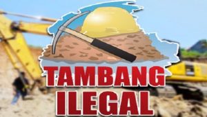 Dugaan Komersialisasi Jetty Illegal,PP Jamindo Minta Polda Sultra Dan Kejati Sultra Segera Periksa Dirut PT. CSM Dan Kepala Syahbandar Kolaka