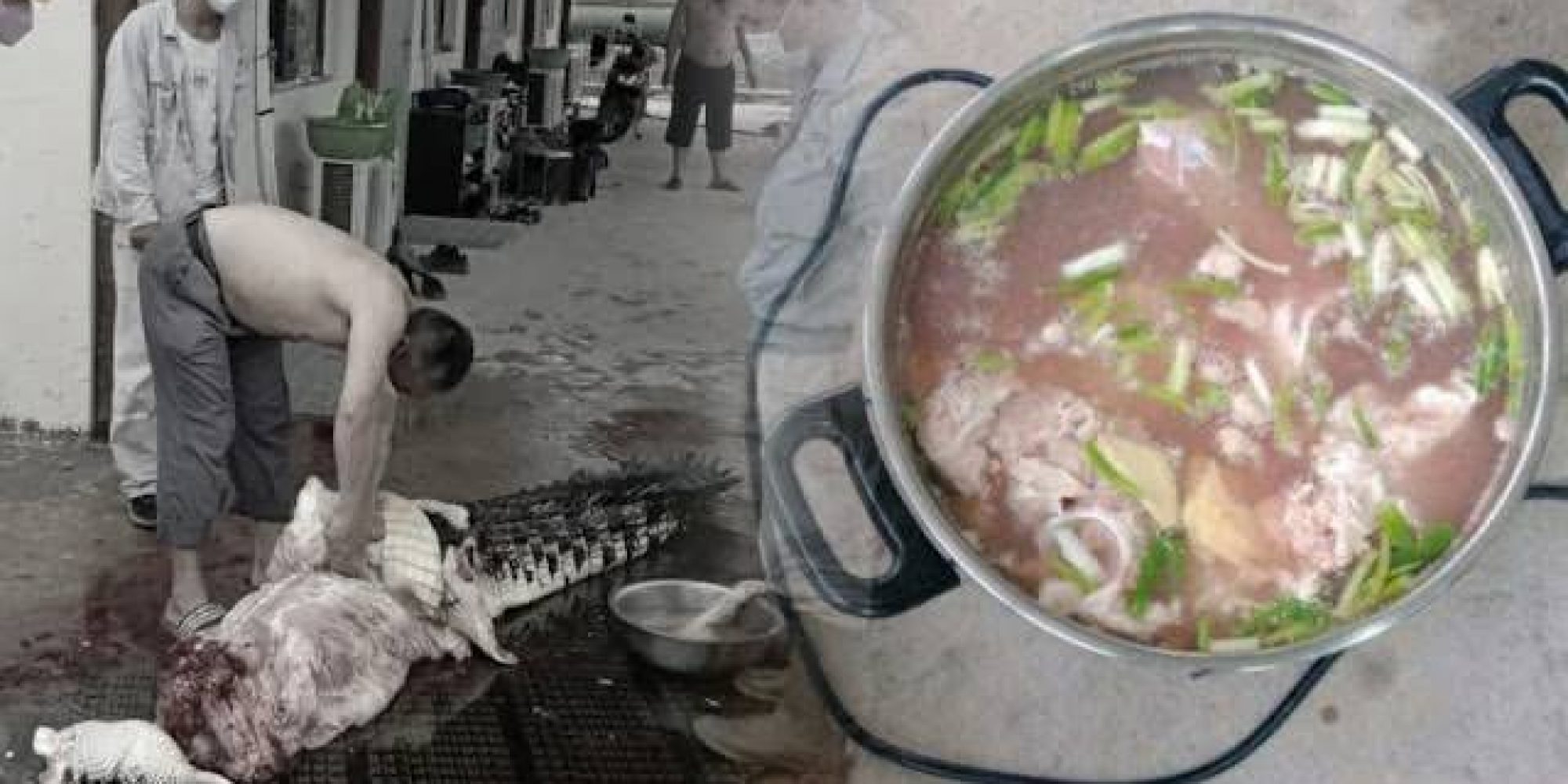 Terkait Kasus Sup Buaya di Morosi, Ampuh Sultra Pertanyakan Kelanjutan Kasusnya