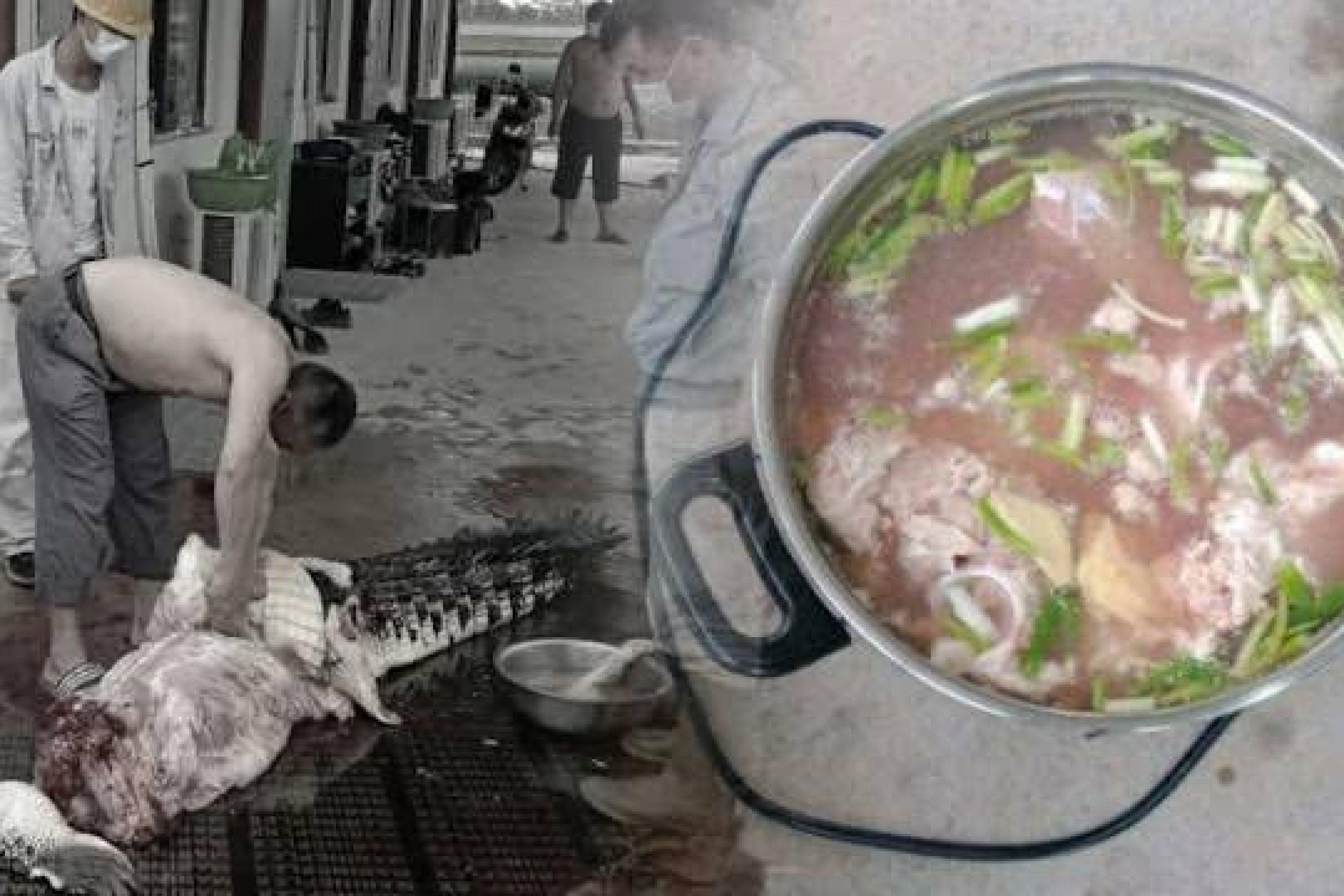 Terkait Kasus Sup Buaya di Morosi, Ampuh Sultra Pertanyakan Kelanjutan Kasusnya