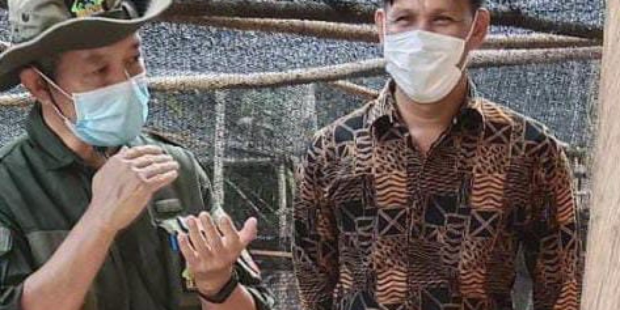 Kadis Tanaman Pangan dan Holtikultura Konsel Tinjau Tempat Pembibitan Porang di Kecamatan Angata