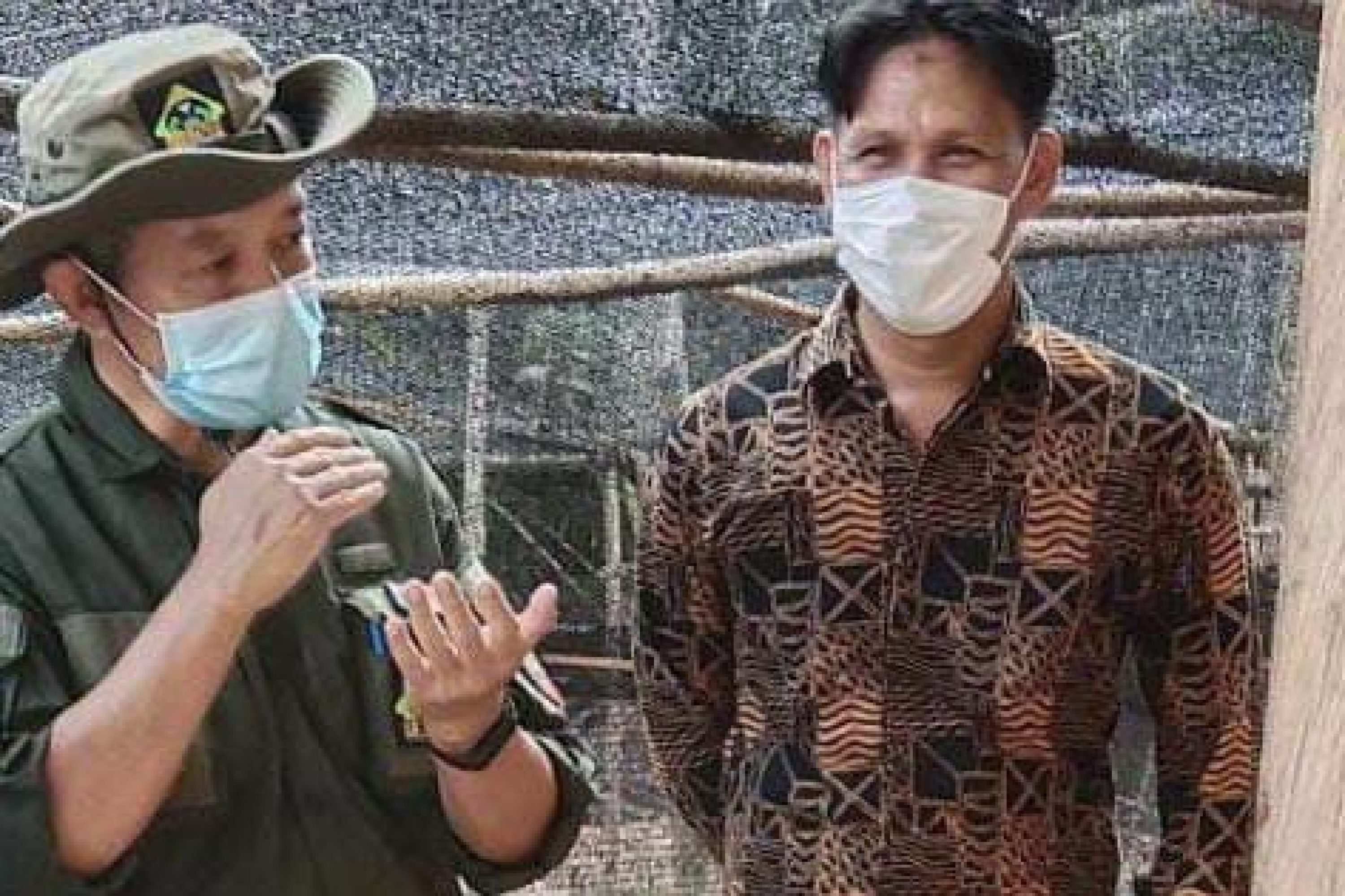 Kadis Tanaman Pangan dan Holtikultura Konsel Tinjau Tempat Pembibitan Porang di Kecamatan Angata