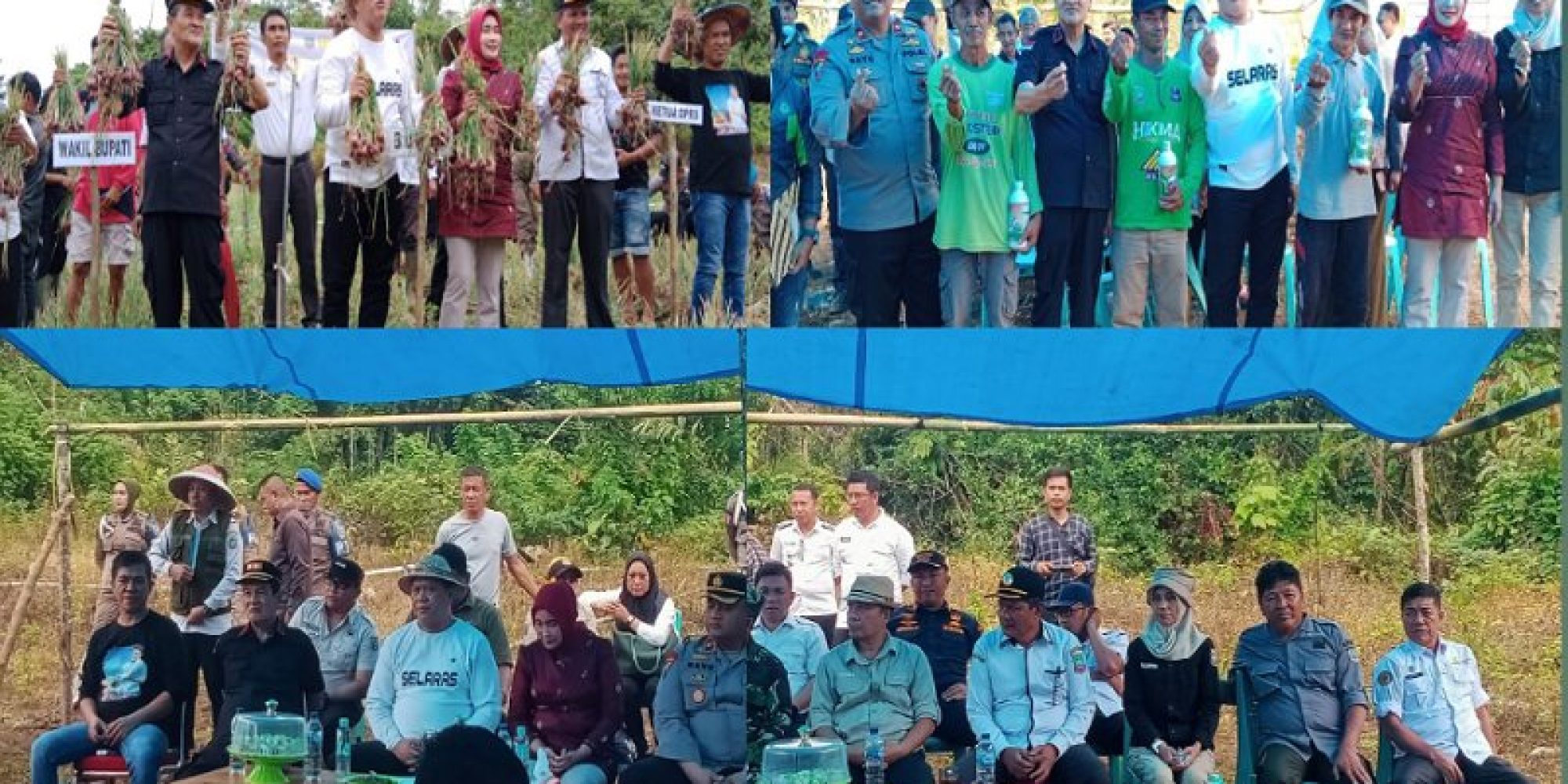 Pimpin Panen Raya Bawang Merah di Desa Tetewatu, Bupati Konut, Akan Beri Bantuan Mesin Alsintan Dan Pupuk