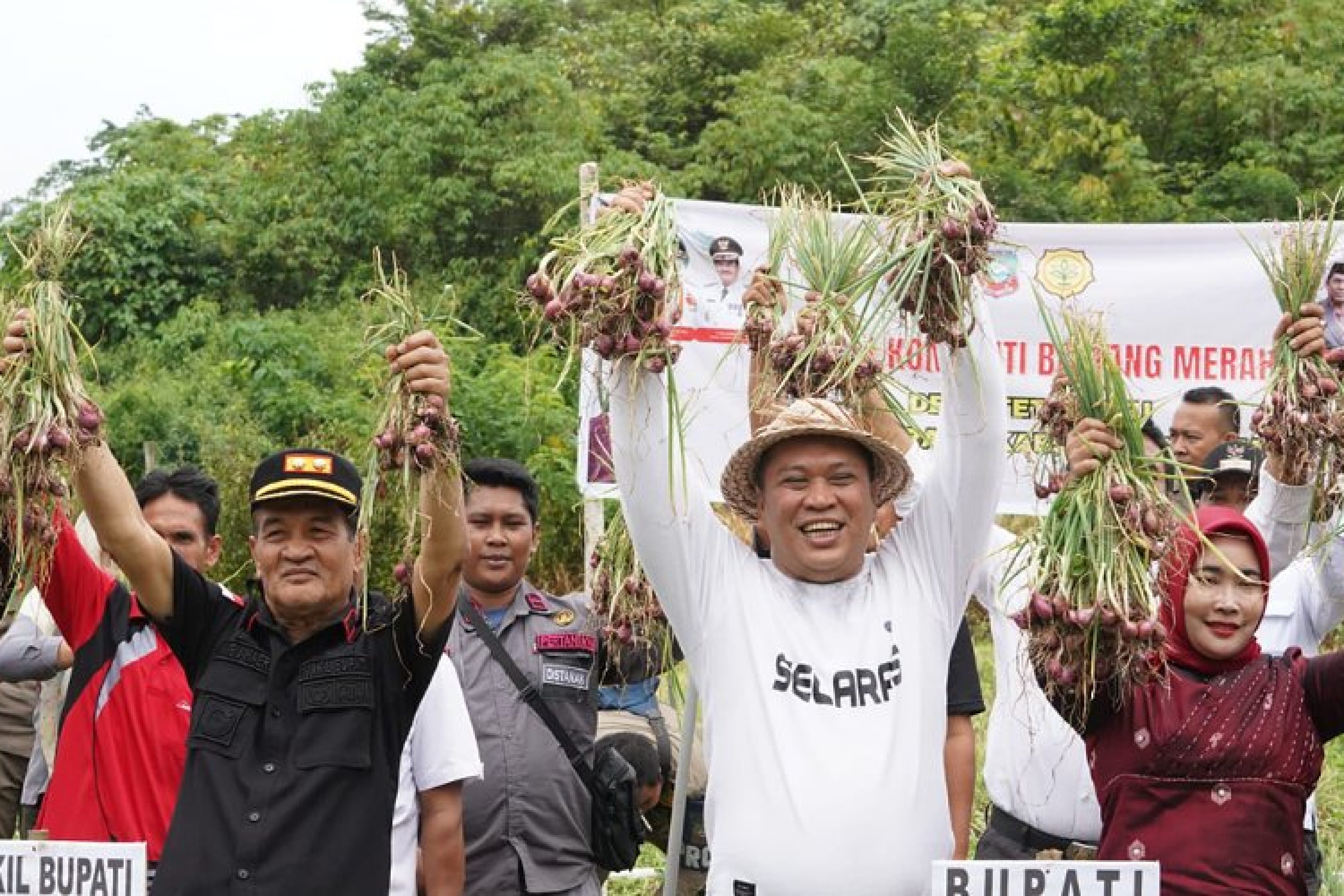 Bupati Konut H. Ruksamin, Apresiasi Petani Bawang Merah di Desa Tetewatu, Berikut Harapannya