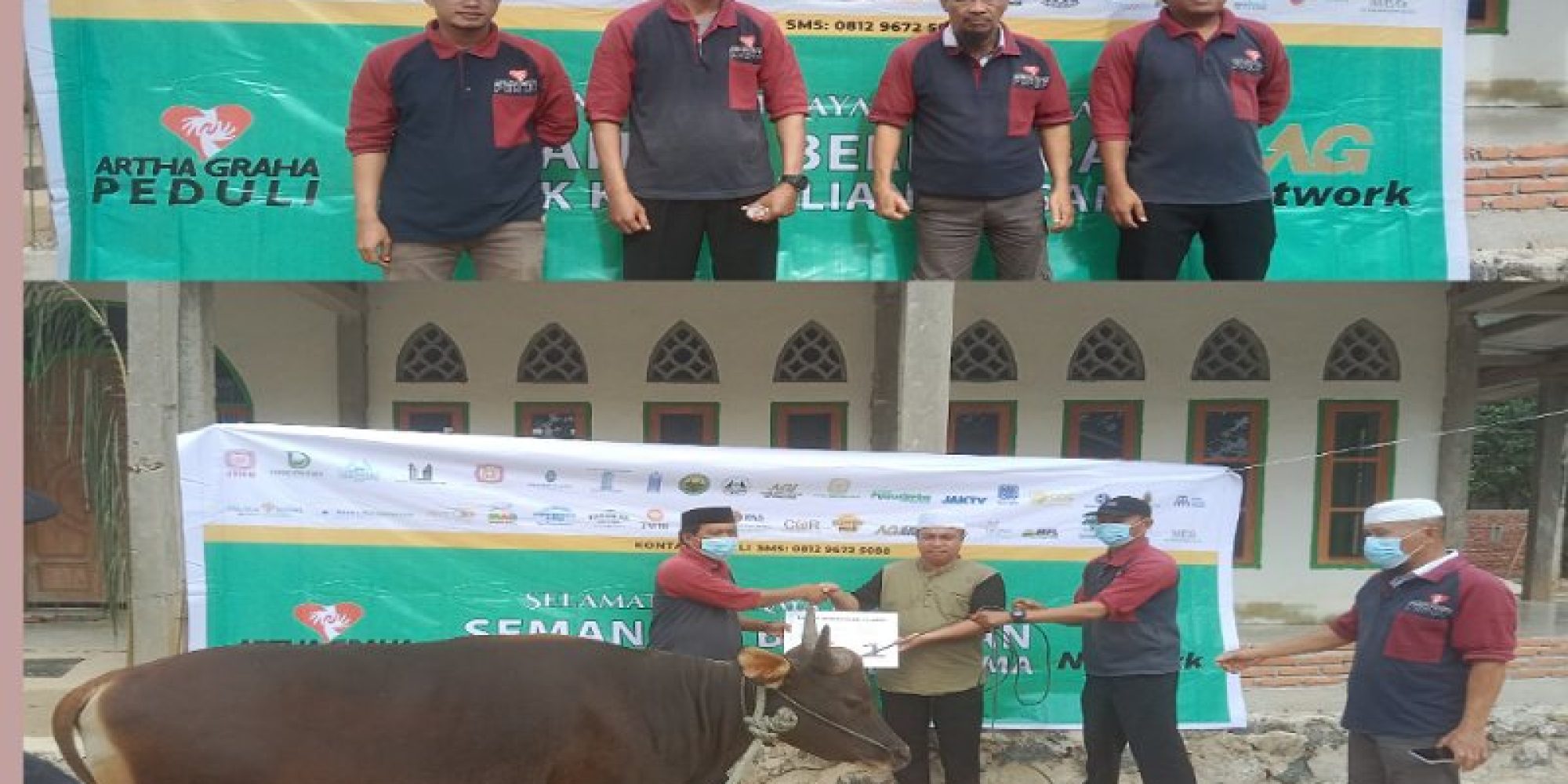 Sebagai Wujud Peduli Terhadap Masyarakat Sekitar Perusahaan, AGP Bekerjasama PT. MS Salurkan 3 Ekor Sapi Kurban