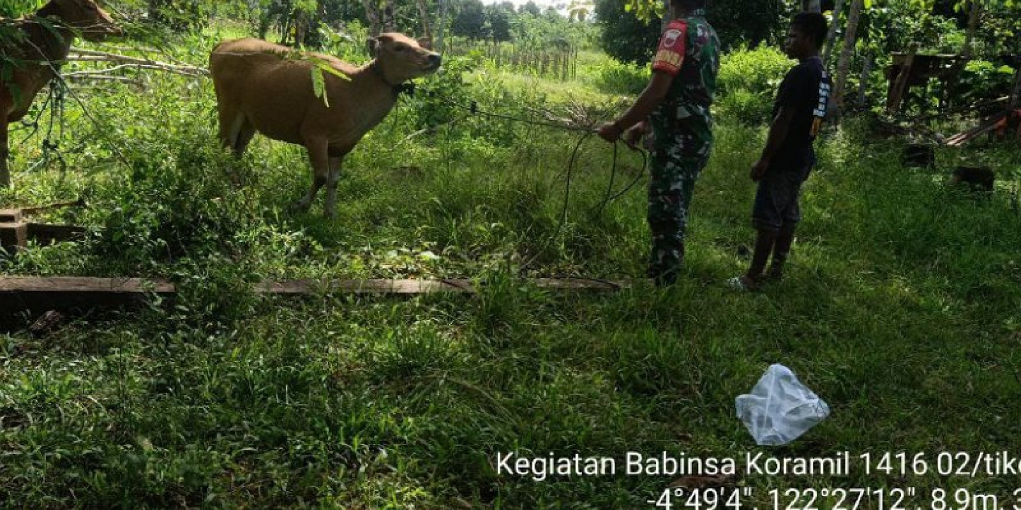 Cegah PMK,Babinsa Koramil 1416-02/Tikep Kodim 1416/Muna Lakukan Pemeriksaan Terhadap Hewan Ternak Warga