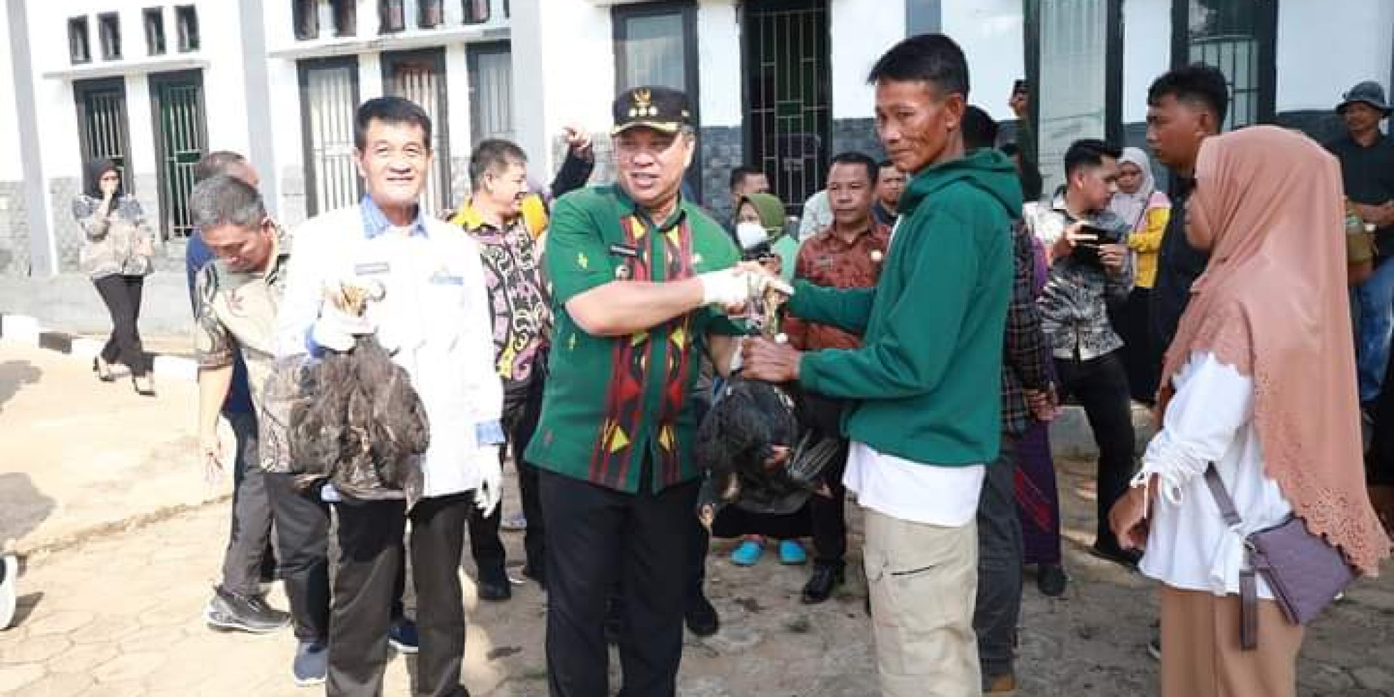Bupati Ruksamin Serahkan Bantuan Sapi, Ayam, dan Pakan Ikan Kepada 10 Kelompok Ternak