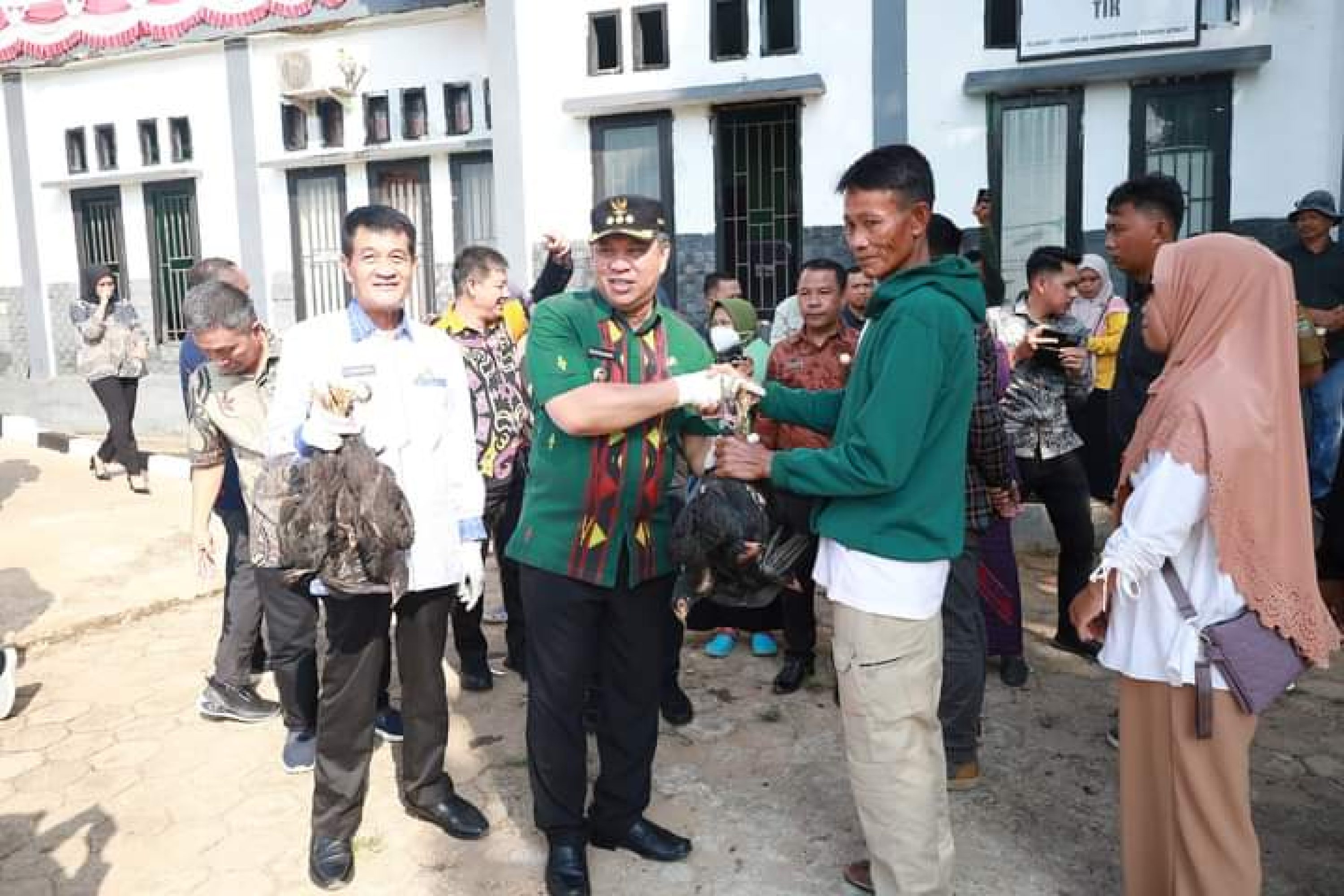 Bupati Ruksamin Serahkan Bantuan Sapi, Ayam, dan Pakan Ikan Kepada 10 Kelompok Ternak