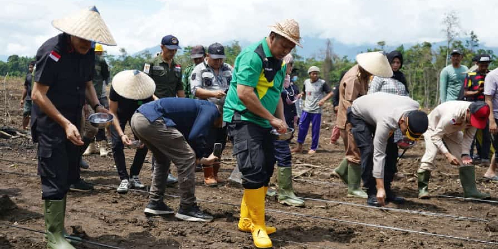 Bupati Ruksamin Pimpin Langsung Penanaman Perdana Jagung di Desa Wawoheo