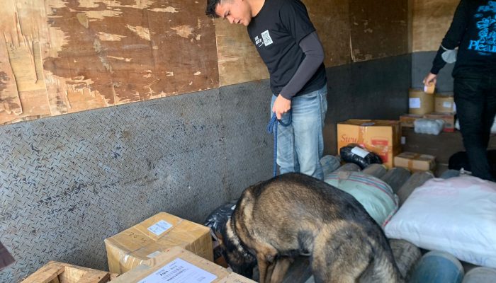 Enam Anjing K9 Bantu Lacak Peredaran Narkoba di Pelabuhan Bakauheni, Ini Hasilnya