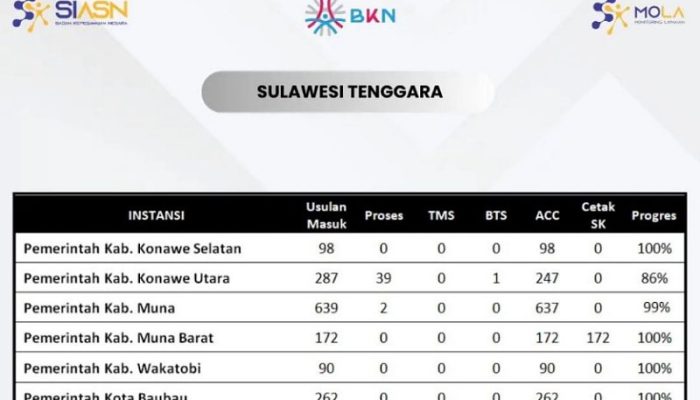 Usulan Penetapan Nomor Induk PPPK 2023, Konawe Selatan Tuntas 100 Persen