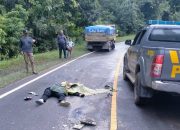 Diduga Hilang Kendali, Satu Pengendara Motor Meninggal Dunia Usai Tabrakan Mobil Truk