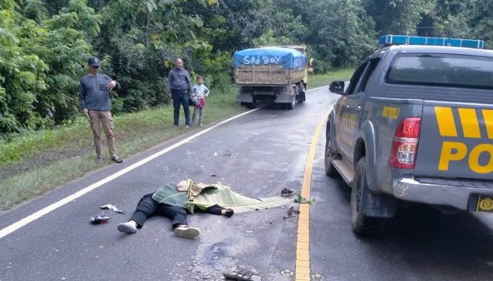 Diduga Hilang Kendali, Satu Pengendara Motor Meninggal Dunia Usai Tabrakan Mobil Truk