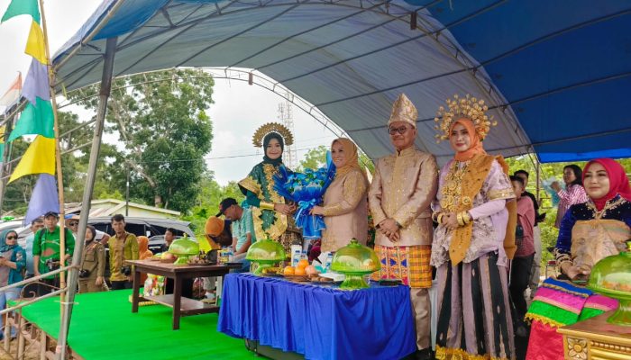 Sebanyak 67 Peserta Pawai budaya mengisi Kemeriahan HUT Kabupaten Konawe Selatan ke-XXl