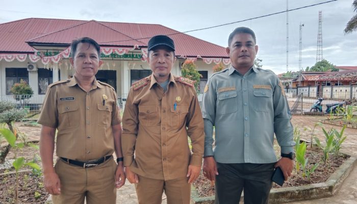 Akibat Curah Hujan Tinggi, Sejumlah Petani di Konut Mengalami Gagal Panen