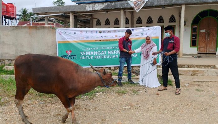Sambut Idul Adha 1445 Hijriyah 2024, PT. MS Serahkan Bantuan 3 Ekor Sapi di Tiga Desa