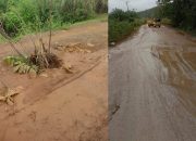 Desak Pemprov Perbaiki Akses Jalan Poros Lambuya – Motaha, Garpem Sultra Ancam Blokade Jalan