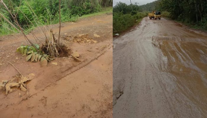 Desak Pemprov Perbaiki Akses Jalan Poros Lambuya – Motaha, Garpem Sultra Ancam Blokade Jalan