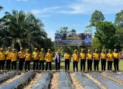 Dukung Ketahanan Pangan Nasional, Polda Sultra Tabur 1000 Benih Ikan Dan Penanaman Bibit Tanaman Pangan di Konawe