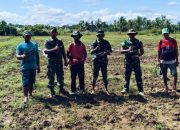 Dukung Program Pemerintah Ketahanan Pangan, Satgas TMMD 123 Kodim 1416/Muna Siapkan Lahan Siap Tanam