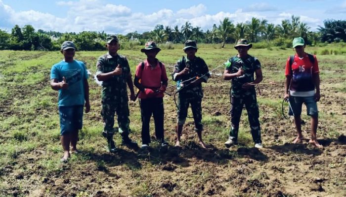 Dukung Program Pemerintah Ketahanan Pangan, Satgas TMMD 123 Kodim 1416/Muna Siapkan Lahan Siap Tanam