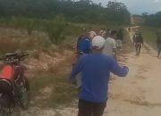 Diduga Aktor Penyerangan Karyawan Hingga Alami Luka Parah, PT MS Laporkan Tiga Warga Lamoen