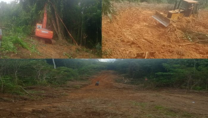 Dukung Sektor Pertanian, Pemdes Puuroe Buka JUT Sepanjang 2,5 KM Tahun 2025