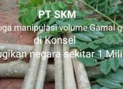 Terkait Dugaan Manipulasi Volume Gamal Giling di Konsel, PP Jamindo Minta PLTU Nii Tanasa Selidiki