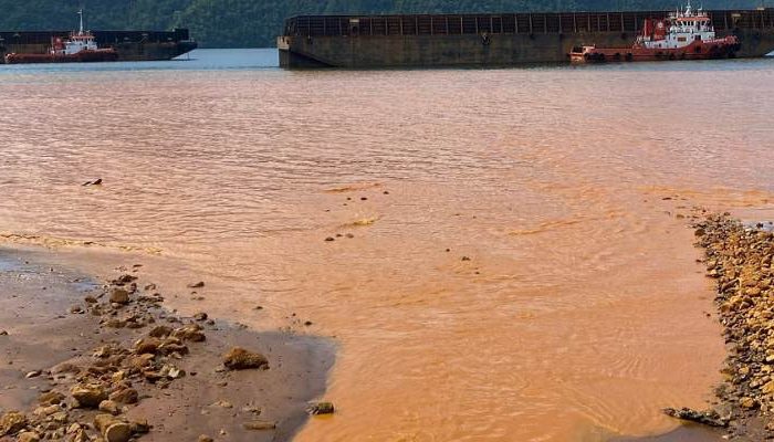 EN IMMO Sebut PT. Paramitha Persada Tama Jadi Biang Kerusakan Di Areal Pulau Labengki