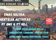 Emas Sultra Sarankan Inspektur Tambang Tutup Sementara Aktivitas PT GMS di Laonti
