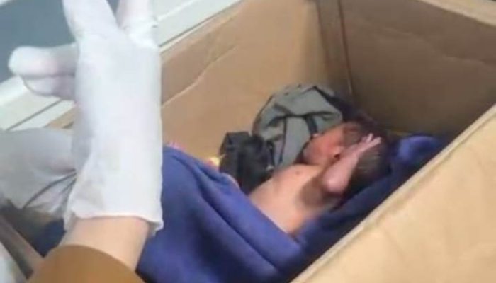 Polisi Selidiki Penemuan Bayi Perempuan  di Konsel Yang Ditemukan Warga Dalam Kardus