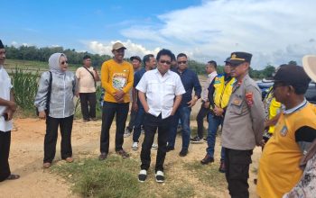 Anggota DPR RI Tinjau Irigasi Dan Program Bedah Rumah di Mowila, Kegiatan Berlangsung Aman