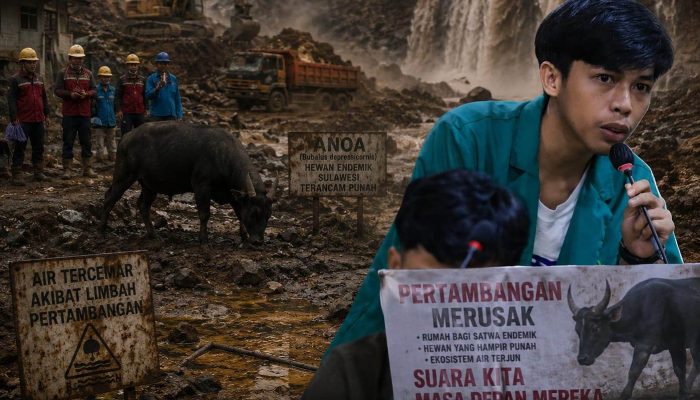 GMII Soroti Kehadiran PT. SCM) di Routa Yang Dinilai Mengancam Kelangsungan Hidup Anoa dan Kelestarian Lingkungan