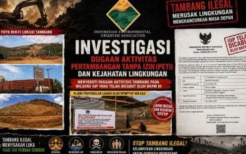IUP Belum Terdaftar di MODI, PT TMBP Diduga Lakukan Produksi Nikel Ilegal