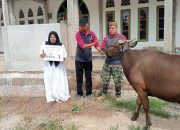 Idul Adha 1447 H 2026, PT Marketindo Selaras Salurkan Hewan Kurban di Wilayah Kec. Angata