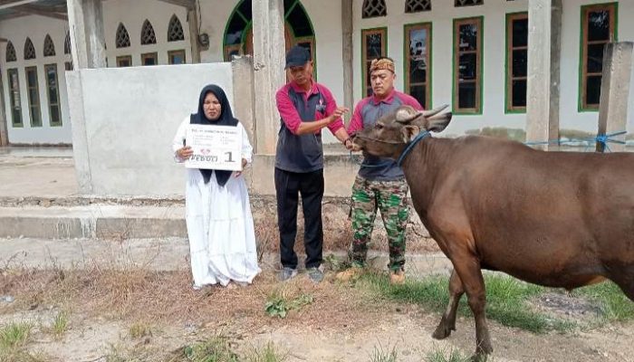 Idul Adha 1447 H 2026, PT Marketindo Selaras Salurkan Hewan Kurban di Wilayah Kec. Angata