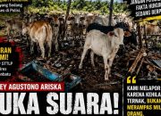 Polemik Dugaan Perampasan Lembu di Labuhanbatu, Korban Jefrey Agustono Ariska Angkat Bicara