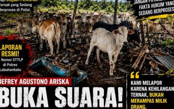 Polemik Dugaan Perampasan Lembu di Labuhanbatu, Korban Jefrey Agustono Ariska Angkat Bicara