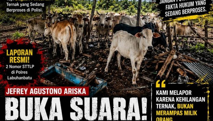 Polemik Dugaan Perampasan Lembu di Labuhanbatu, Korban Jefrey Agustono Ariska Angkat Bicara
